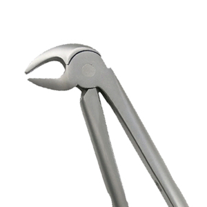 ARISTON INTERNATIONAL Pinzas de Extracción de Molares Inferiores de Calidad Duradera, con Mangos Serrados, Agarre Ergonómico, Acero Inoxidable, Manuales - Product Image 2