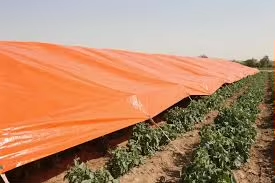 Bâche de protection pour bassin agricole 300 GSM - Product Image 2