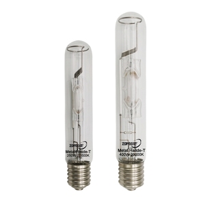 Lámpara de Haluro Metálico para <span class=keywords><strong>Acuario</strong></span> de Alta Eficiencia Lumínica, Tubo Recto T46 250W/400W 20000K, Lámpara para Cultivo de Corales Marinos - Product Image 1