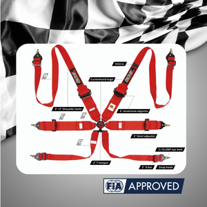 Custom Logo FIA Racing Harness 6 Point Seat Belt SPORT Model with 2 Inch 3 Inch Polyester Webbing for Track Day - Product Image 4