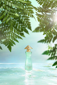 Spray de parfum féminin moderne de haute qualité, longue durée, parfum frais, pour usage quotidien au Vietnam, Miss Saigon Essence Aurora Green 50ml - Product Image 2