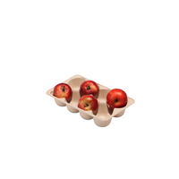 Ecologisch verantwoorde, anti-breuk, composteerbare pulp tray voor fruitverpakkingen, verse fruittrays van Vietnamese fabrikant, papieren dozen