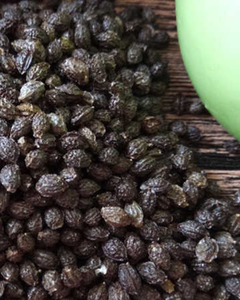 Graines de papaye de haute qualité pour l'extraction d'huile et l'usage agricole - Product Image 3