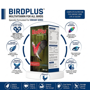 วิตามินรวมและอาหารเสริมสำหรับนกและสัตว์ปีก BirdPlus คุณภาพพรีเมียม ยอดขายอันดับหนึ่ง ขนาด 30 มล. สำหรับขาย - Product Image 3