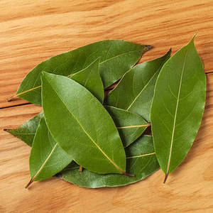 Hoja de Laurel India Seca Natural (Gujarat FitTree International) - Gránulos con 24 Meses de Vida Útil, Sabor Intenso para Sopas y Platos de Arroz - Product Image 4