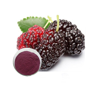 Top Rated 100% Pure Mulberry Powder Nutrient Rich Mulberry Powder For Vitamin Rich Superfood Supplements & Nutritional Wellness - Product Image 3