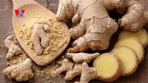 Jengibre Orgánico Deshidratado - Refuerza el Sistema Inmunitario, a Base de Plantas, Etiqueta Limpia, Desintoxicación Natural, Ingrediente para Té de Hierbas 100% Natural/ Sra. Alina - Product Image 6