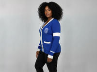 Pull cardigan en acrylique d'hiver Zeta Phi Beta pour femme, bleu, tricoté, style universitaire, broderie chenille, col en V, personnalisé OEM