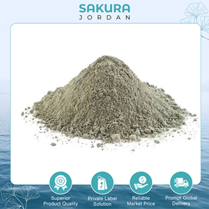Poudre de boue de la Mer Morte naturelle de qualité supérieure, riche en minéraux, de qualité cosmétique, à marque privée, pour l'exportation en gros à bas prix - Product Image 2