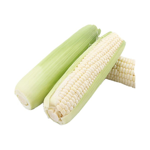 ข้าวโพดขาวบราซิลเกรดพรีเมียมสำหรับขายส่งและการค้าระหว่างประเทศ - Product Image 6