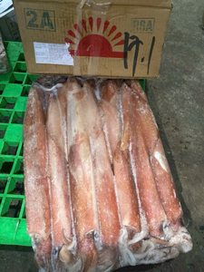 Calamar IQF de calidad de exportación, tubos de calamar IQF tamaño 16/20 piezas, calamar congelado para restaurante Vietnam ANGLE - Product Image 3
