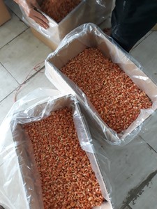VENTES CHAUDES |   Crevettes séchées, ingrédient alimentaire premium pour animaux, emballées sous vide, approvisionnement en vrac pour la cuisine, vente en gros, Blue Lotus - Product Image 6