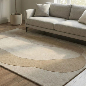Modern Indoor Handtufted Area <b>Rug</b> with Anti Slip Backing for Bedroom and Living Room <b>Spaces</b> - Product Image 1
