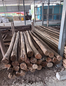 Eucalipto Desbastado de Suministro Industrial para Aplicaciones Multinacionales - Product Image 2