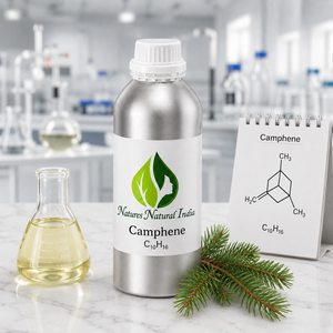 Aceite Esencial de Alcanfor Natural de la India, 100% Puro, Destilado al Vapor, Aroma a Madera de Pino, Para Todo Tipo de Piel - Product Image 1