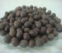 Premium gedroogde lotuszaden Vietnam, 12 maanden houdbaarheid, zoete natuurlijke smaak, groothandels wereldwijd, Toan Tai Loc Phat