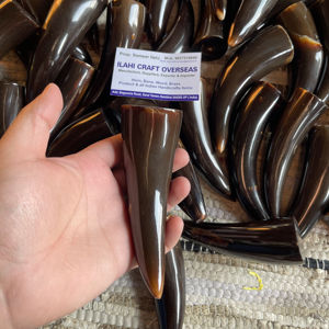 Punta de Cuerno de Búfalo Natural, Color Natural, Alta Calidad - Product Image 1