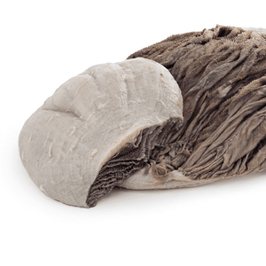 กระเพาะวัวแช่แข็ง กระเพาะวัวปรุงรส กระเพาะวัวรังผึ้ง ฮาลาล เกรด A ขายส่ง - Product Image 2