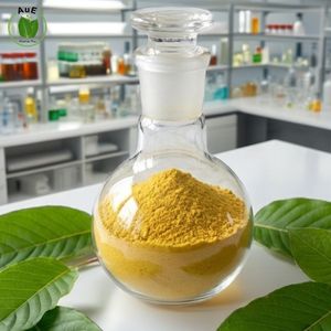 Oferta Especial del Día: Extracto de Hoja de Hierba Tailandesa AuE al 80% en Polvo, Extraído con Solvente, Grado Farmacéutico, Envasado al Vacío - Product Image 1