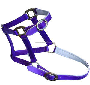 Licou de cheval multicolore enduit de PVC imperméable avec matériel en métal équipement d'équitation bride de licou de cheval - Product Image 6