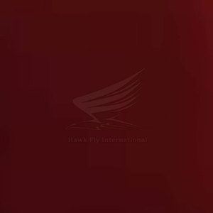 T-shirt pour femmes tendance, 100% coton, doux, confortable, décontracté, respirant, pour tous les jours - Product Image 6