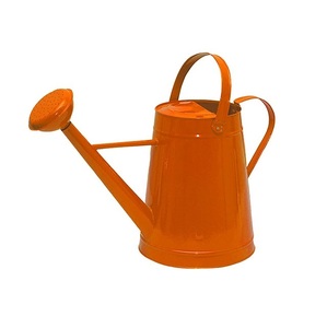Arrosoir en zinc galvanisé avec long bec pour le jardinage, finition durable, arrosoir de jardin en métal, arrosoir à long bec - Product Image 3