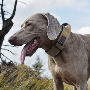 Nylon <b>Dog</b> <b>Collar</b> Heavy Duty Adjustable Padded Pet <b>Collar</b> with Control Handle Metal Buckle for Training Walking - Product Image 5
