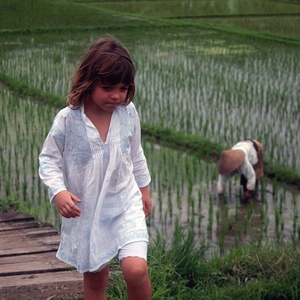 Superb Pure White 100% Fine Cotton Summer Long Sleeves Kaftan Or Beach Cover Up Dress With Light Blue Embroidery & Loose Fitting - Product Image 1