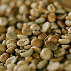 Vietnam Arabica Natural Green Coffee <b>Beans</b> Bulk Export Quality Supplier for Coffee Industry Buyers - Product Image 2