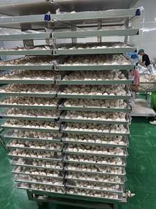 Bulk Supply Healthy Dried Pineapple Slices – No Sugar Added Export Quality - Product Image 4