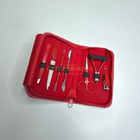 Kit de manucure professionnel 8-en-1, coupe-ongles, kit rouge, outils de soin des pieds, acier inoxydable, boîte de toilettage pour femmes, 20 pièces, voyage