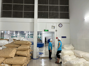 Desiccated <b>Coconut</b> <b>Flakes</b> for Premium Cream Decoration Pastry Topping Natural White Color 25kg Kraft Bag - Product Image 3