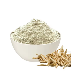 Poudre de Safed Musali de Haute Qualité OEM pour Hommes et Femmes, Poudre de Safed Musali Naturelle de Qualité Alimentaire pour Soutenir l'Énergie et la Force - Product Image 2