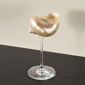 Vasos de cristal pulido con forma de concha para cócteles martini, los mejores vasos de concha natural para beber con descuento al por mayor. - Product Image 4