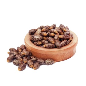 Semillas de ricino maduras y limpias, naturales, crudas, de calidad para suministro a granel, en sacos seguros para procesamiento en aceiteras. - Product Image 1