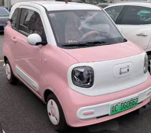 พร้อมจัดส่ง ปี 2024 B1estune P0ny EV มินิ รถสองที่นั่ง พวงมาลัยซ้าย  เบาะหนัง กล้องมองหลัง - Product Image 2