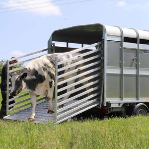 Remolque para Ganado en Venta con Capacidad de Carga de 3 Toneladas, Chasis Reforzado y Transporte Seguro de Animales - Product Image 5