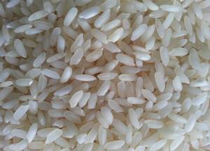 Arroz Blanco Swarna Crudo Indio Saludable y Sabroso, Grado Superior, Certificado ISO, Textura Suave, Grano Corto, Seco, a Precio de Mayoreo - Product Image 2