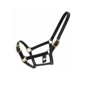 Équipement d'entraînement de cheval en cuir de vachette Harnais de bride Halters-Fournitures équestres pour les soins et l'entraînement des chevaux - Product Image 6