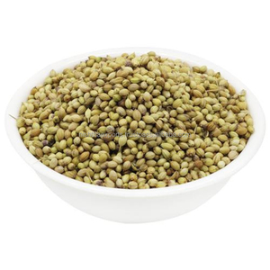 Meilleures graines de coriandre de qualité supérieure en gros, prêtes à être expédiées, qualité alimentaire, pour l'exportation - Product Image 4