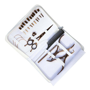 Outils et kits légers pour extensions de cheveux, perruques, bandes adhésives personnalisées, qualité supérieure, outils et kits d'extensions de cheveux tendance - Product Image 1