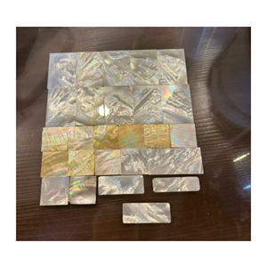 Tuiles en nacre naturelle pour la décoration murale de meubles de luxe et les projets d'amélioration de l'habitat, en provenance du Vietnam - Product Image 6