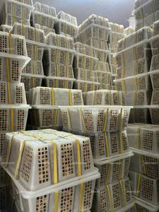 Longan Fresco de Primera Calidad Cultivado en Vietnam, Rico en Sabor, Cuidadosamente Seleccionado para Exportación y Mercados Internacionales de Alimentos - Product Image 4