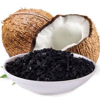 Charbon de coco naturel en poudre, extrait végétal, charbon actif de qualité alimentaire 99%, en bouteille plastique, approvisionnement en vrac, marque privée