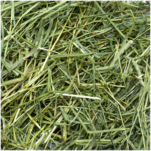 Heno de Timothy Alto en Proteínas para Alimentación de Caballos, Ganado, Cerdos y Peces, 500g, Empaque a Granel, Alta Calidad - Product Image 2