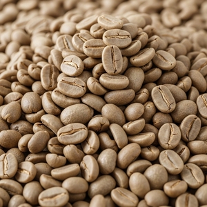 Café Arabica Spécial Sélection de Grains Entiers Récoltés à la Main, Cultivé en Montagne, Arôme Raffiné, Goût Équilibré, Idéal pour l'Espresso et le Filtration - Product Image 3