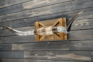 Toro cuernos pequeños pulido Steer OX Longhorn montado par para arte de pared decoración de pared occidental ágata hogar Hotel Oficina Decoración - Product Image 3