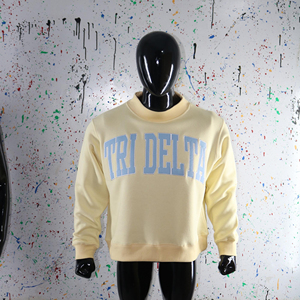 Sudadera de Cuello Redondo Color Crema para Hombre, Estampado de Letras Tri Delta, Corte Regular, Informal, Tejida, para Otoño, CLUSH SPORTS - Product Image 5