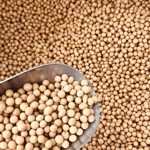ขายส่งถั่วเหลือง GMO จำนวนมากสำหรับผู้ผลิตอาหารและโรงงานแปรรูปน้ำมัน - Product Image 1