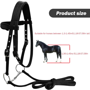 Wholesale Customizable Nylon English Saddle Horse <b>Halters</b> Various Sizes with Pewter Buckles and PP PVC Rope Bridle Accessory - Product Image 3
